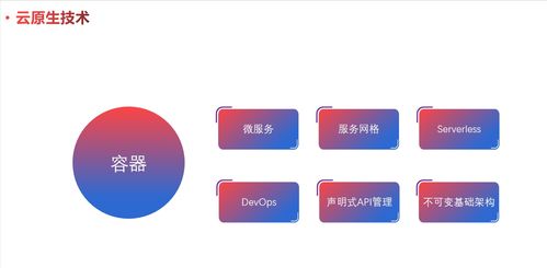 云原生模式 設(shè)計(jì)擁抱變化的軟件（一）——軟件設(shè)計(jì)與開發(fā)