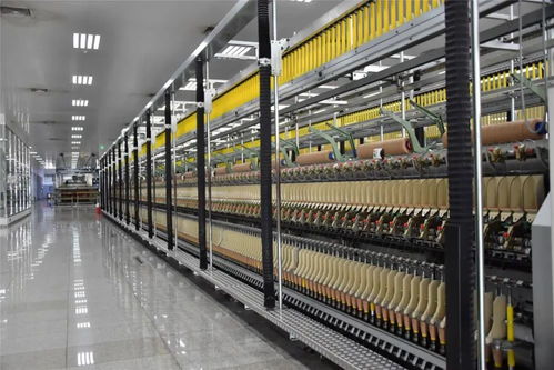 轉型升級 產業強區